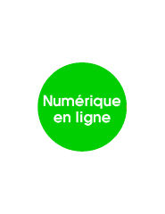 Num&eacute;rique 