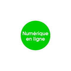 Num&eacute;rique 